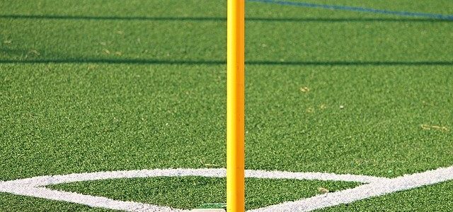 Artificial Grass Fields Offer Many Benefits Artificial Grass Fields Offer Many Benefits